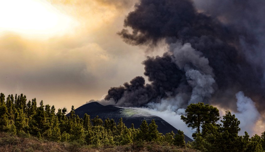 Afectados por el volcán de La Palma