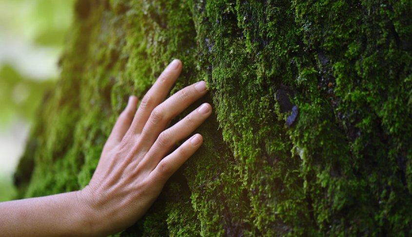 Día mundial del medioambiente